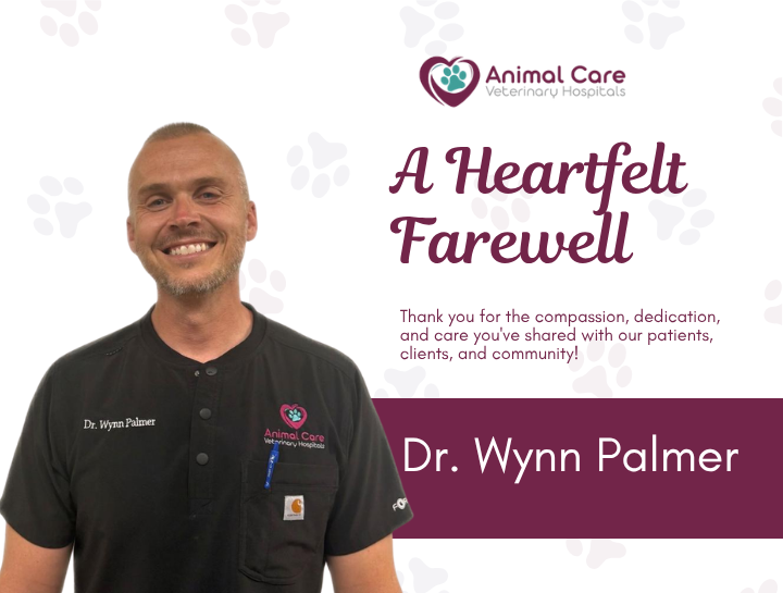 A Heartfelt Farewell to Dr. Wynn Palmer
